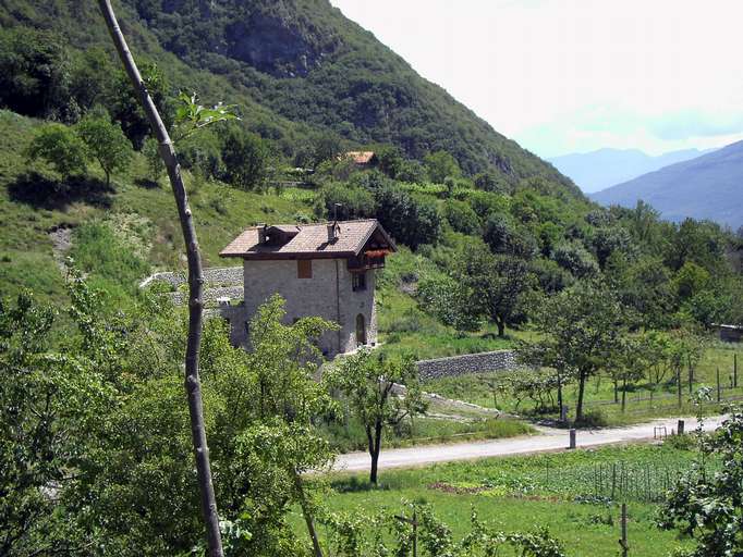 Frutticoltura, Valle di Ledro