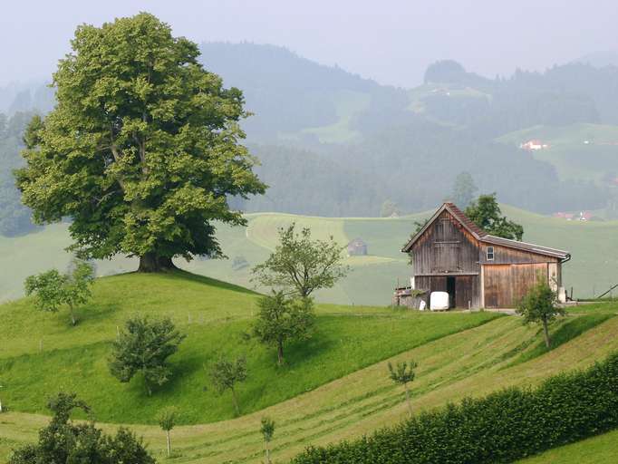 Ländliche Idylle im Appenzeller Land