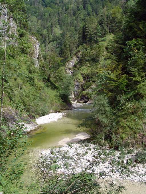 Grande Torrente, Reichraminger Hintergebirge