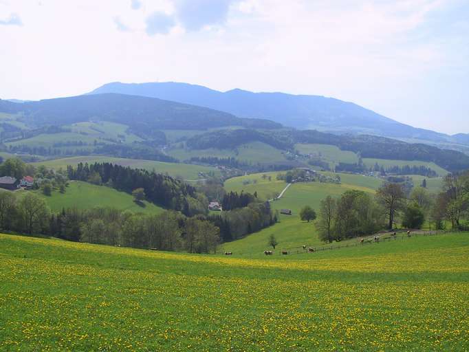 Schöckl (1.445m), in the Montainous Region Grazer Bergland 