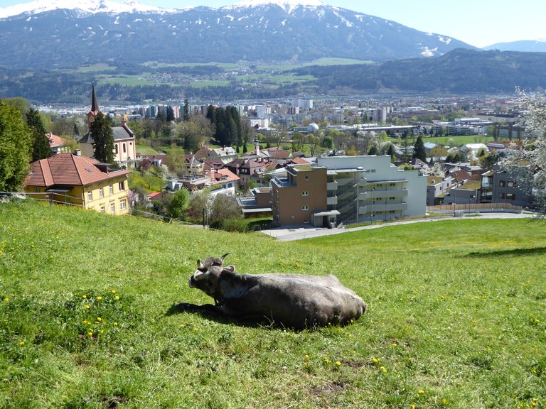 Innsbruck Mühlau