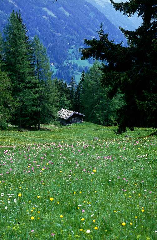 Alpine scenery in Gries am Brenner