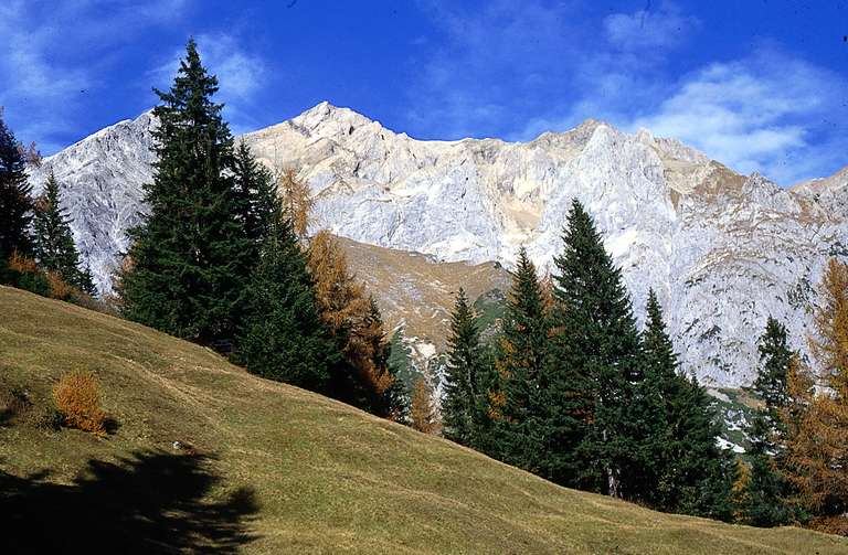 Alpine scenery in Grins