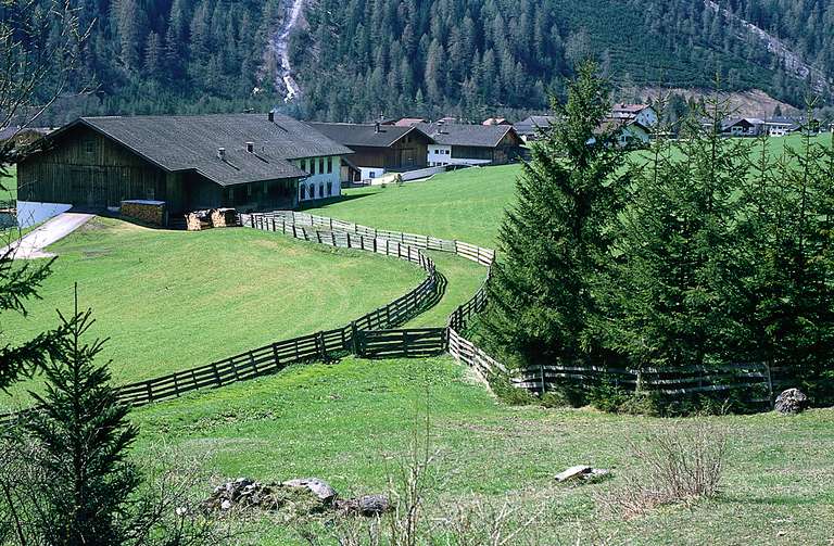 Farmhouses in Gschnitz