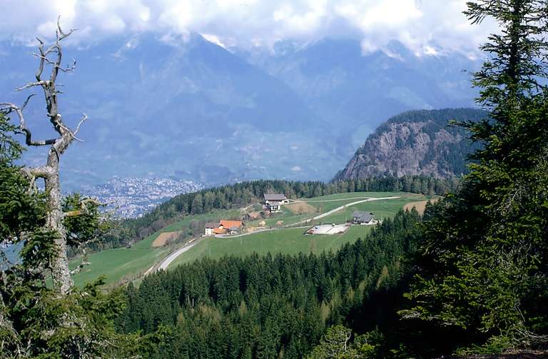 Vista da Hafling sulla città di Merano 