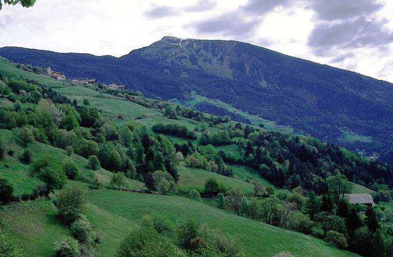 Novale di Laion, Laion