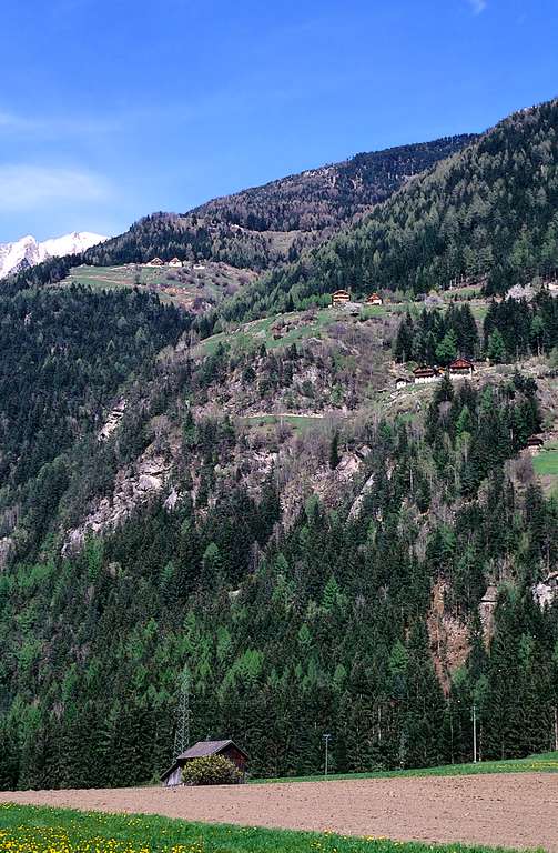 Paarhöfe auf der Ostseite des Tauferer Tales bei Uttenheim