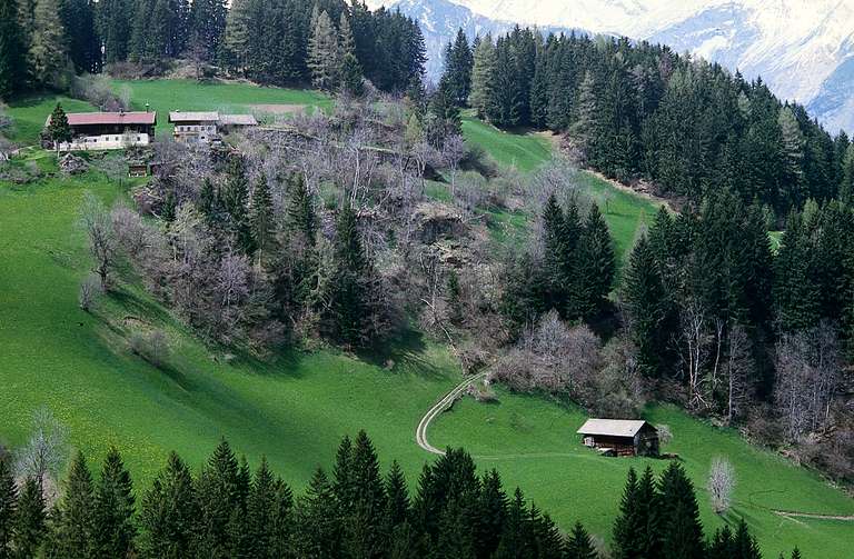 Fattorie, Voldererberg