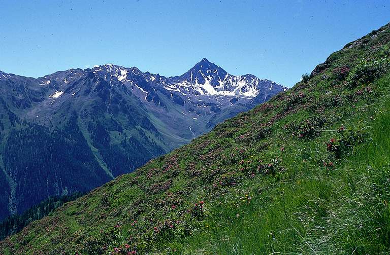 Paznaun-Vesulspitze