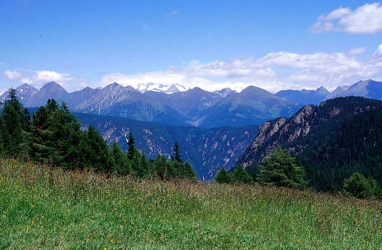 Zillertaler Alpen von Scholders aus