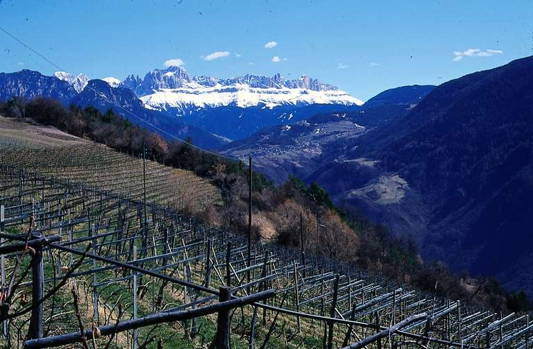 Rosengarten von Signat aus