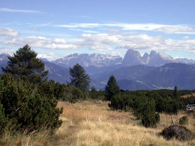 Blick von der Villanderer Alm mit Sella, Lang- und Plattkofel