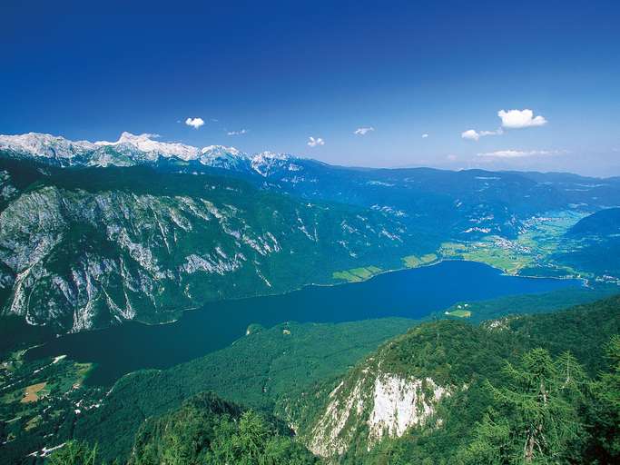 Alpensee im Tal von Bohinj