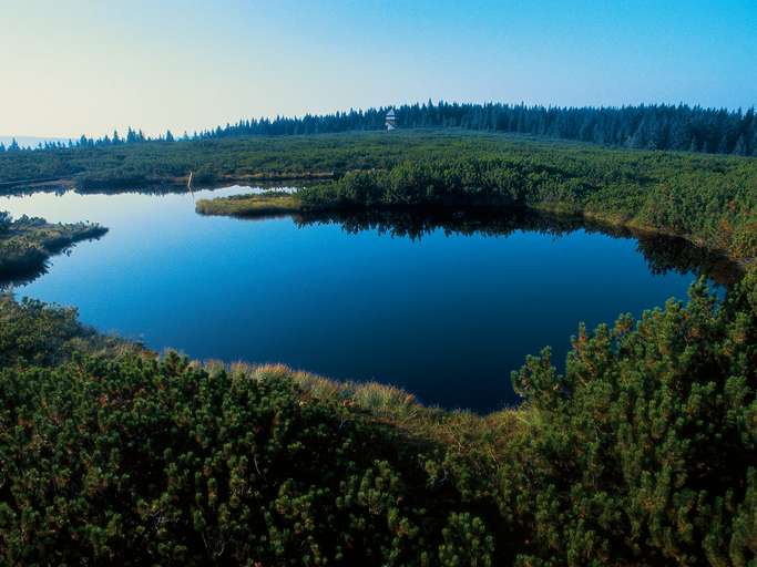 Lovrence Lakes, Pohorje