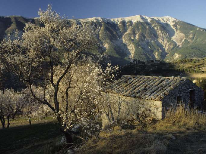 Mont Ventoux