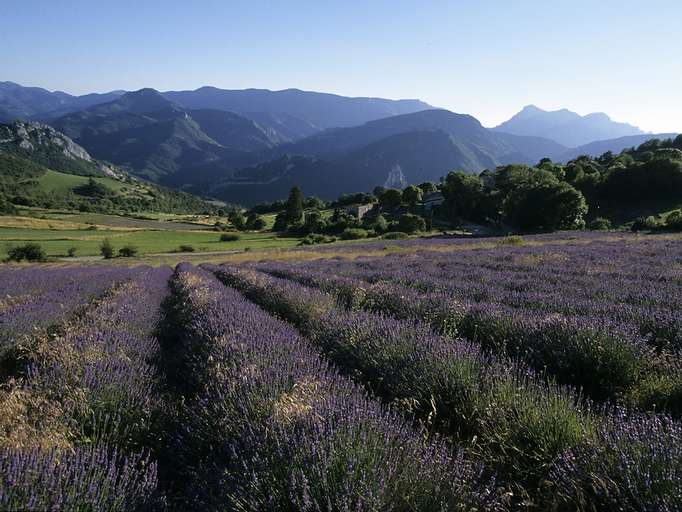 Rimon-et-Savel, Pays Diois