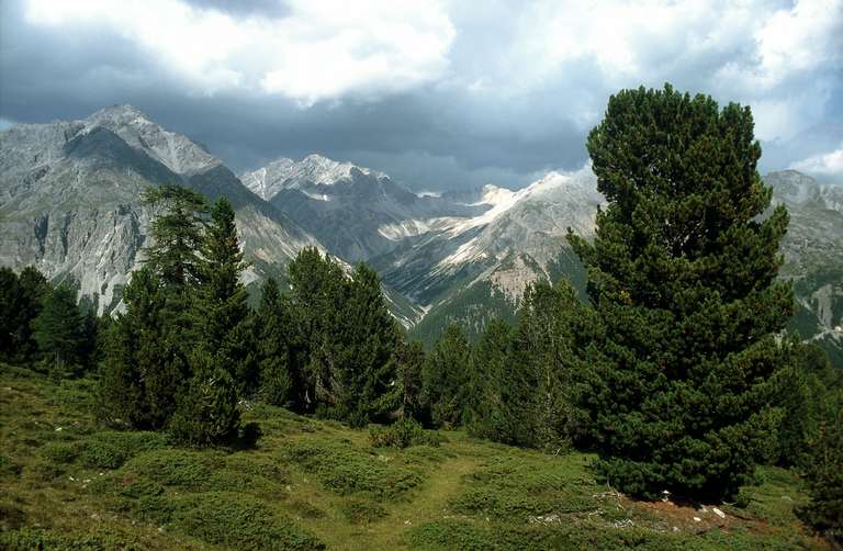 Vista da Buffalora su Val Nüglia, Passo del Fuorno