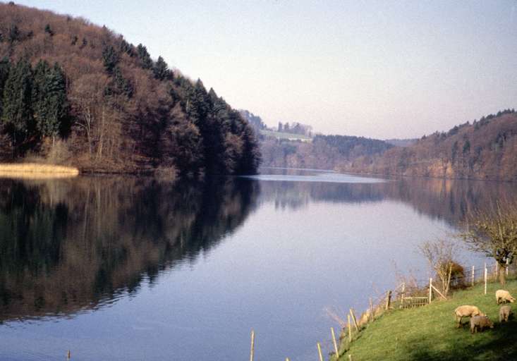 Wohlensee und Aare