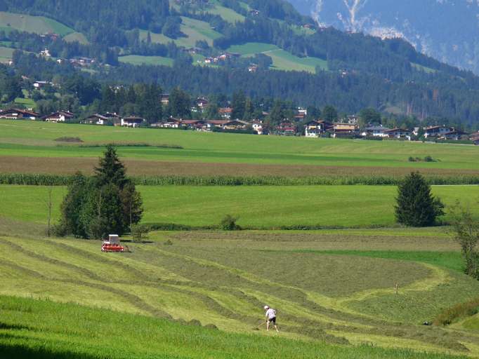 Fienagione in Zillertal