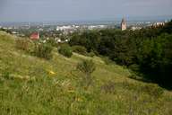 Perchtoldsdorfer Heath, Wiener Basin, Leithamountains (Image: Biosphärenpark Wienerwald Management GmbH)