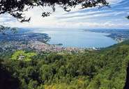 Bodensee (Foto: Roman Horner/Vorarlberg Tourismus)