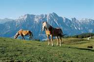 Tirol Atlas image No.°7949